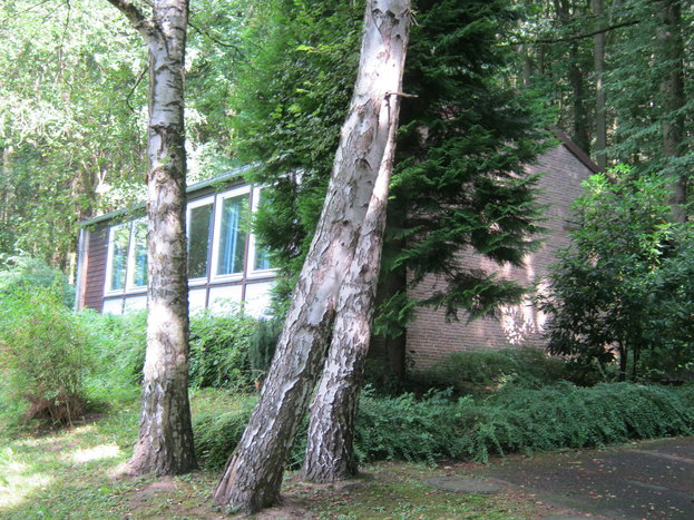 Fotos_von_Kirchen_013.jpg