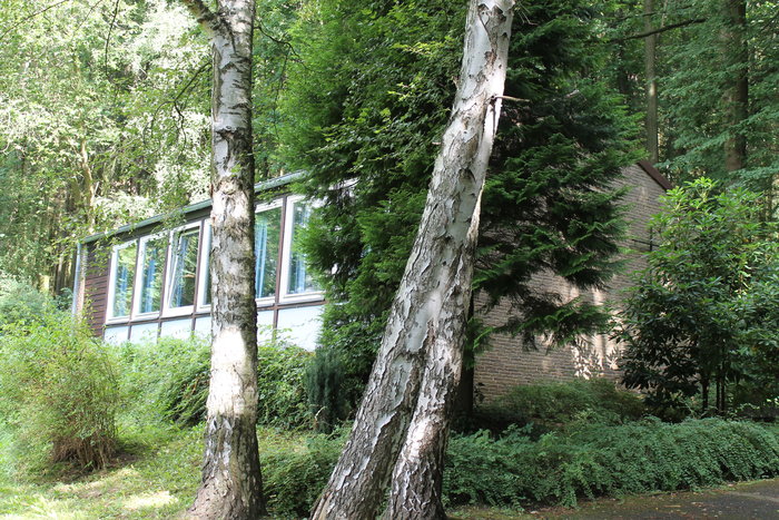 Fotos_von_Kirchen_065.jpg
