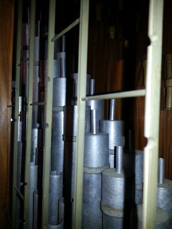 20120826_2.jpg